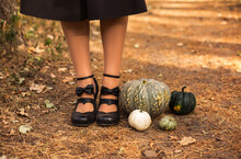 Cropped Photo Of Female Feet In Retro Black Shoes Standing Next To Multi-colored Pumpkins Outside