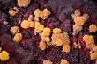 Mimetite on limonite matrix. from El Potosi mine, Santa Eulalia, Chihuahua, Mexico. macro photography detail texture background. close-up raw rough unpolished semi-precious gemstone 
