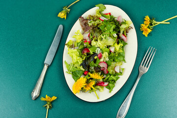 Wall Mural - Fresh salad with dandelions.