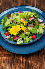 Wall Mural - Fresh dandelion salad