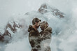 A couple is hugging in the snow, with mountains in the background. Scene is romantic and peaceful