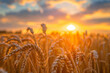 A field of wheat is in full bloom with the sun shining brightly in the background. The golden wheat is swaying in the breeze, creating a peaceful and serene atmosphere