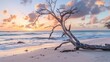 Dream Sunset at Driftwood Beach: Seascape Landscape with Yacht and Dead Trees