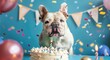 Happy Birthday Dog Celebrating with Cake and Card. Animal Anniversary Banner Blowing Box and Celebration Concept