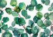 An artistic watercolor illustration delicately portrays eucalyptus leaves in varying shades of green, offering a serene and natural aesthetic that soothes the senses.