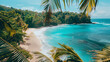 Tropical beach with palm trees, drone shot, jungle forest island with calm relax shore for summer vacation