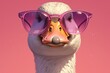 Portrait of an animal wearing sunglasses, duck with purple glasses