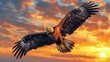 Majestic Bald Eagle Flying in Front of a Sunset