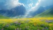   A wildflower field beneath a rainbow, mountains in the backdrop, and clouds above