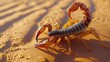 Scorpion Observing Surroundings on Sandy Terrain