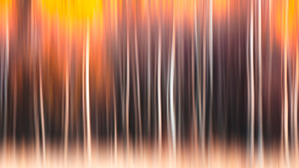 Aufkleber - Abstract blurred forest with trees in various shades of brown and orange