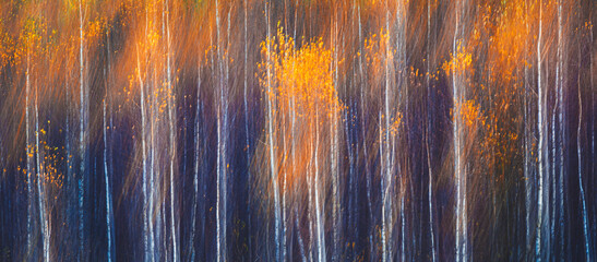 Aufkleber - Abstract blurred forest with trees in various shades of brown and orange