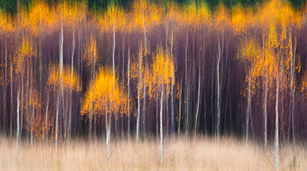 Aufkleber - Abstract blurred forest with trees in various shades of brown and orange
