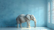 elephant in the room metaphor. avoid to resolve obvious problem in business.