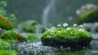   A small cluster of white flowers rests atop a verdant green field, bordering a serene pond of water