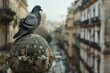 Close-up of a pigeon perched on a weathered statue, overlooking a city street