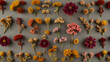 a composition of dried flowers laid out on a plain beige background