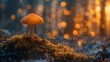 A mushroom is sitting on top of a moss covered ground, AI