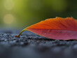A solitary luck leaf amidst a blur of colors