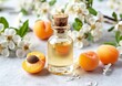 Apricot kernel oil in a glass cosmetic bottle mockup. Apricot fruits with leaves and apricot blossoming branch with flowers on the light background. ?opy space for text. Cosmetic background