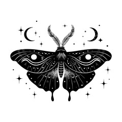 black and white illustration of a moth surrounded by stars and crescent moons, creating a mystical a