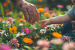 A cute father and baby's hands reaching out to touch delicate flower petals in a vibrant garden.