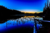Fototapeta Kwiaty - Blue hour over mountain lake with trees, grass, log