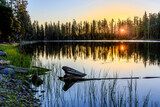 Fototapeta Kwiaty - sunburst through trees on a lake surrounded by trees, sunset, sunrise