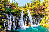 Fototapeta Kwiaty - Waterfall in the forest with lake, trees