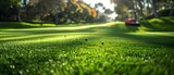 Fototapeta  - Precision Greens: Robot-Enhanced Golf Course Care. Concept Technology in Golf, Artificial Intelligence, Sustainable Practices, Precision Greens, Robotics in Landscaping