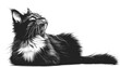 A black and white sketch of a cat looking up.