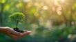 Environmental ecology save the world. Hand holding growing tree on green bokeh background.