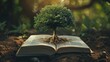 Conceptual art of a tree growing from a book, roots spreading into words