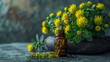 A cluster of Rhodiola rosea flowers or a bottle of herbal supplement capsules symbolizing its traditional use in improving stamina