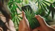 Carousel of cannabis wellness tips for Instagram, featuring a clean layout and engaging visuals