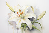 Fototapeta Kwiaty - elegant watercolor painting that captures the timeless beauty of a single, blooming white lily in a crystal-clear vase. natural light, clean, uncluttered