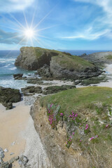Wall Mural - Belle-Ile in Brittany, seascape with rocks and cliffs on the Cote Sauvage, with spring flowers
