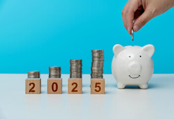 Wall Mural - New year 2025 and piggy bank