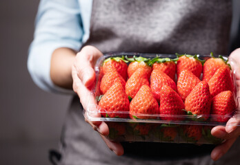 Canvas Print - Hand holding fresh strawberries in packaging container