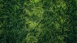 Feasible textural backdrop of a flourishing grass field seized in all-encompassing frame greenery all over and space, Generative AI.