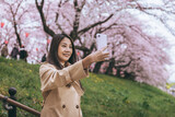 Fototapeta Miasto - Traveler asian woman with mobile phone travel in sakura cherry blossom  tree in Gongendo park Saitama Japan in spring season