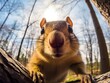 Close-up of a curious chipmunk in its natural habitat. Detailed image of the muzzle. A wild animal is looking at something. Illustration with distorted fisheye effect. Design for cover, card, etc.