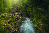 Fototapeta Sypialnia - Wooden footbridge above the Radovna river in the Vintgar gorge
