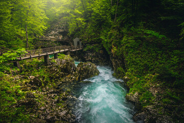 Wall Mural - Wooden footbridge above the Radovna river in the Vintgar gorge