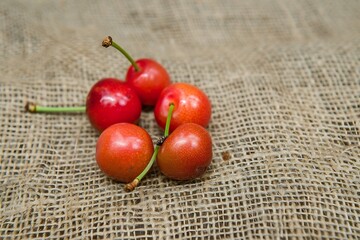 Poster - Generative AI : Dark red ripe round juicy sweet delicious wild cherries with green stem