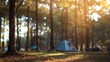 Generative AI : Blured image of camping and tent with high iso grained picture under the pine forest 