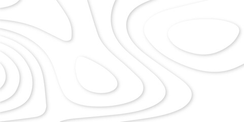 Poster - Abstract paper carve template. abstract white and gray 3d papercut topography relief vector background illustration. topographic canyon geometric map relief texture with curved layers and shadow.