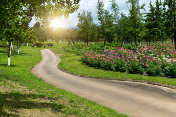 Canvas Print - Cement pathway in the park