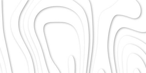 Poster - Abstract paper carve template. abstract white and gray 3d papercut topography relief vector background illustration. topographic canyon geometric map relief texture with curved layers and shadow.