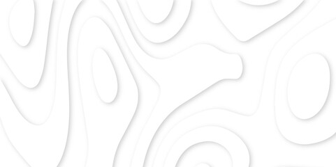 Poster - Abstract paper carve template. abstract white and gray 3d papercut topography relief vector background illustration. topographic canyon geometric map relief texture with curved layers and shadow.
